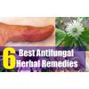 Candida complex - CANDIDA AWAY EXTRA STRENGTH - Black walnut antiviral -1B