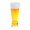 Brew Craft Pilsner Lager Glass