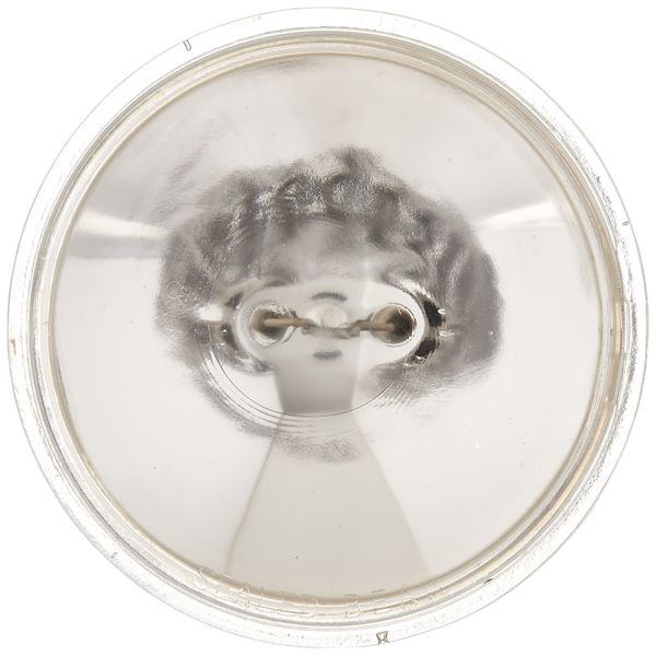 Wagner Lighting 4509 Standard Multi-Purpose Light Bulb Box of 1