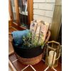 Wilson 15.5"-17.5" Decorative White Birch Logs, Natural Bark Wood Home Décor - 1.5"-3" Dia. (Set of 8)