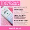 Peach Slices | Acne Clarifying Cleanser | Deep Cleans & Prevents Acne | 2% Salicylic Acid | Hyaluronic Acid | Sulfate-Free | Hydrates & Calms Skin | Gentle Formula | Face Wash | Cruelty-Free | 4 oz
