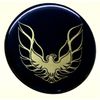 GOLD FIREBIRD TRANS AM SPECIAL EDITION  Wheel Center Cap Emblems decals stickers