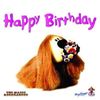 The Magic Roundabout Greeting Card "Happy Birthday" from Dougal