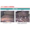 Mouse Repellent Z Set of 20