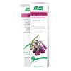 A.Vogel Comfrey Cream 35GR