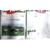 Langley Models Chickens 10 N Scale Metal Model Railway PAINTED A71p