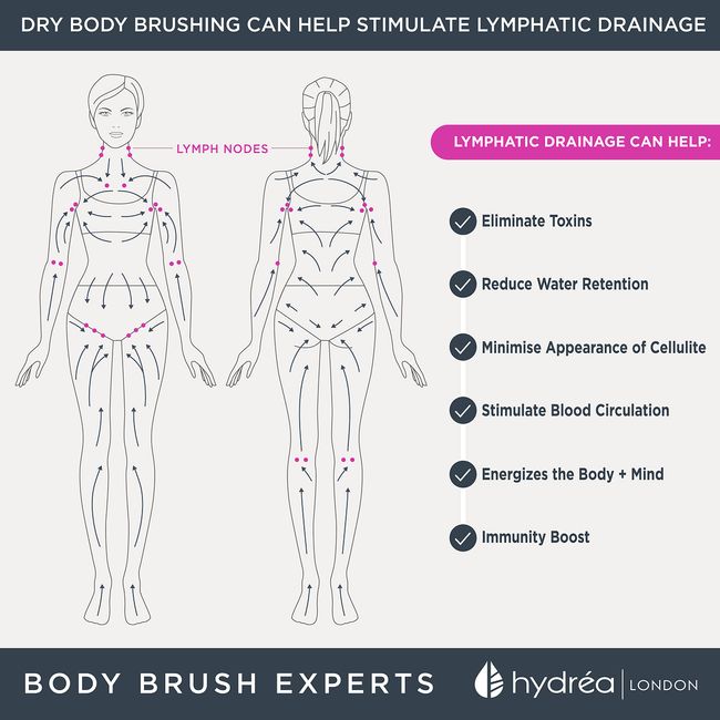 Lymphatic Drainage Dry Brush - SMALL PACKAGES