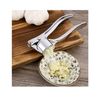 1 Piece Metal Garlic Press Manually Crusher Handheld Ginger Kitchen Tools