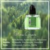 Pine Grove Home Fragrance Plugin Diffuser Oil Refill For Pier 1® Accent Diffuser