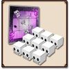 Skull Bones by Phase Shift Games