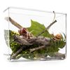 My Living World LW007 Interplay Snail World, Single, Mixed