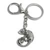 FizzyButton Gifts Chameleon Keyring Key Ring and Lobster Clasp with Silver Tone Charm