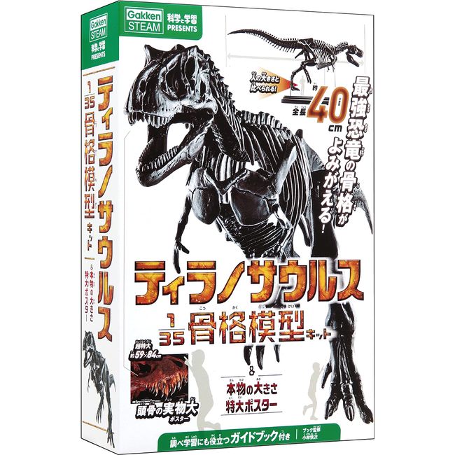 Gakken Q750763 T-Rex 1/35 Skeleton Model Kit & Real Large Poster (Recommended Age: 6+)