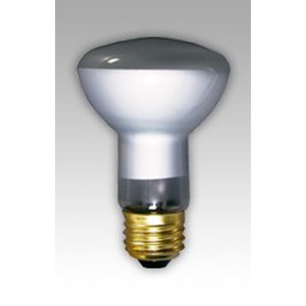 EIKO 30R20/FL-120V - 30W 120V Flood R-20 Medium Base