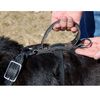 Brown 2 Snap Agitation Harness with Handle w/Stainless Steel Hardware