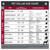 Buckle-Down Plastic Clip Collar - Chicago Flags/Black - 1/2" Wide - Fits 8-12" Neck - Medium