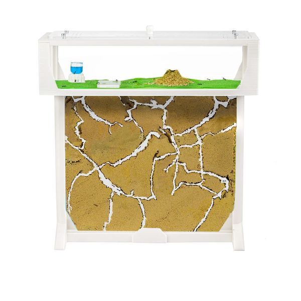 AntHouse - Natural sand ant farm - T 3D Set BIG 25x20x1-5 cm White