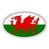 CafePress Welsh Flag with Text Oval Sticker Oval Car Bumper Sticker