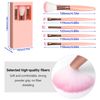 Travel Makeup Brush Set, 5 PCS Mini Brushes with Mirror, Portable (Pink)