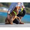 Rogz Control Harness Reflective Large Pink