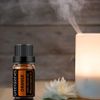 GREENSLEEVES Essential Oil - 10ml (Orange)