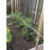 IRRIGATION-MART 6300FT Tomato Tying Garden Twine