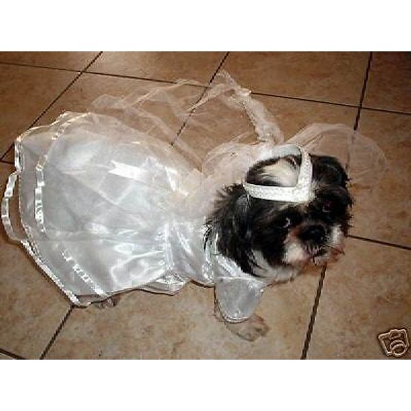 COMPANION ROAD PET DOG WEDDING DRESS W/ VEIL APPAREL