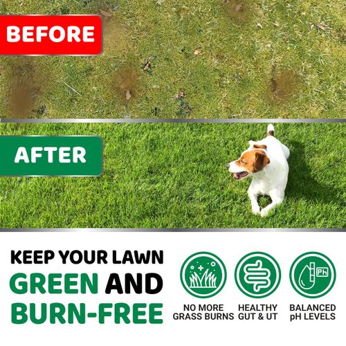 Dog Urine Neutralizer for Lawn - 170 Chews - Advanced Grass Green Savers for Dog Urine - Canine Pee Grass Neutralizer Supplement - Green Lawn Treats with Probiotics and Digestive Enzymes