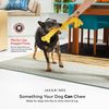 JAX & BONES Lobster Small Dog Toy