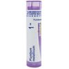 Boiron Plumbum Metallicum 1M for Constipation While Traveling - 80 Pellets