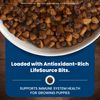 Blue Buffalo Dog Food for Puppies, Life Protection Formula, Natural Chicken & Brown Rice Flavor, Puppy Dry Dog Food, 15 lb Bag