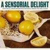 THE BODY SHOP Lemon Purifying Hand Wash INTENSELY CLEANSING HAND WASH PURIFY AND PROTECT SKIN