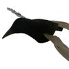 A1 Decoy Proflap Crow for Magnets or Bouncers