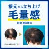 Success Shampoo Volume Up Type Body 13.8 fl oz (350 ml)