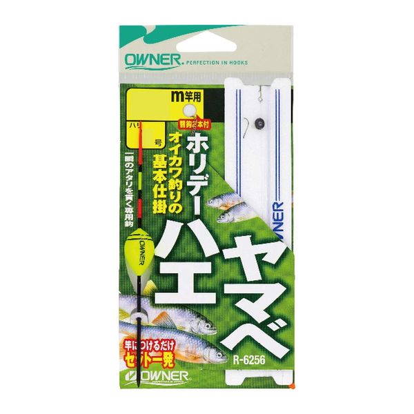 Owner Holiday Flies Yamabe Process 3.6m-2.5