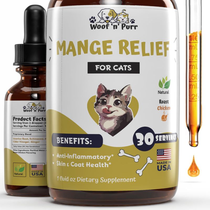 Thumbnail for Cat Mange Treatment Options Near Me