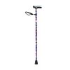 NRS Folding Walking Stick Blue Floral
