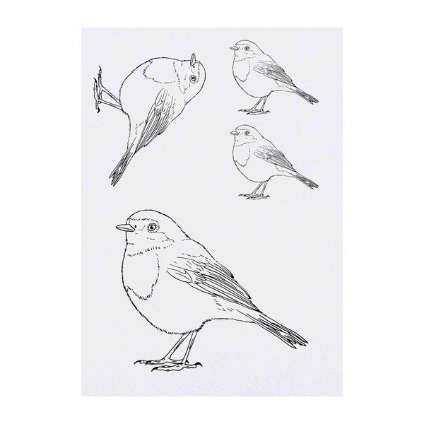 4 x 'Robin' Temporary Tattoos (TO00033263)