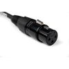 CASCHA Standard Line Microphone Cable (XLR), Red, 2 m