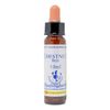 Healing Herbs/Flower Essence [Chest Nut Pad]