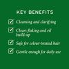 Philip Kingsley Flaky Scalp Shampoo for Flaky Dry, Oily Scalps Cleansing Scalp Care Hair Products Soothing, Soothes and Calms, 500ml