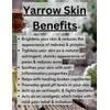 Organic Eczema Lotion Handmade