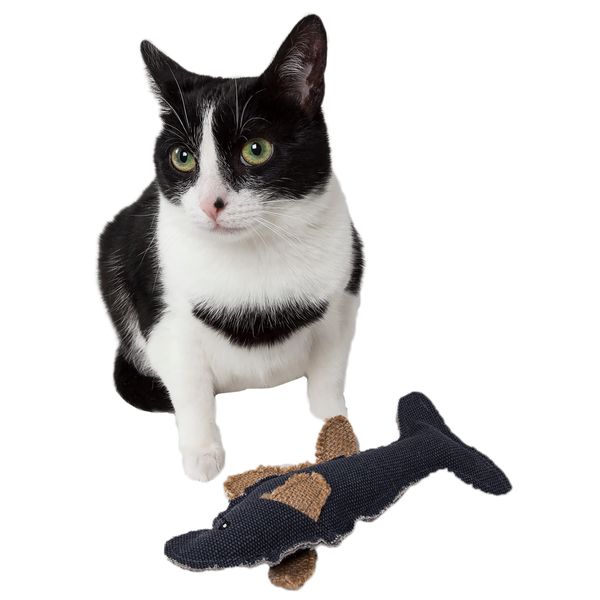 Pet Life ® Durable Fish Plush Kitty Catnip Cat Toy