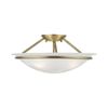 Livex Lighting 4824-91 Newburgh 3-Light Ceiling Mount, Brushed Nickel