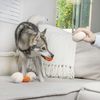 Midlee Matzo Ball Soup Plush Dog Toy