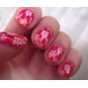 Badge Theme  Nail Art Stamping Template Image Plate Stamper Scraper Kit BP 27