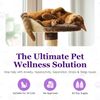Purrfect Calm Cat Diffuser – Natural Odorless Calming Solution for Stress Relief
