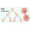 Artritis Reumatoide|Ali