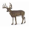 CollectA White-Tailed Deer