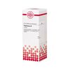 DHU Phytolacca Ø Urtinktur, 20 ml Lösung